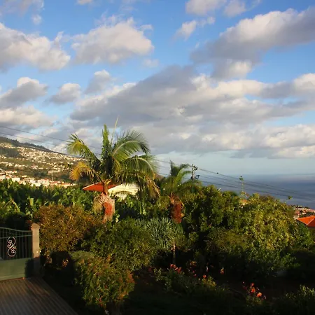 Lugar Dos Louros 2 Appartement Estreito Da Calheta