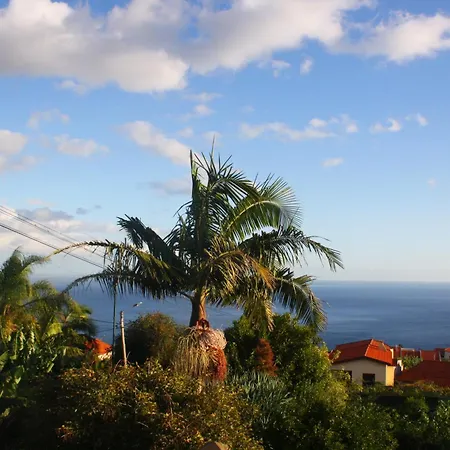 Lugar Dos Louros 2 Estreito Da Calheta