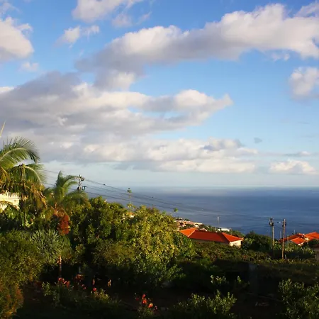 公寓 Lugar Dos Louros 2 Estreito Da Calheta