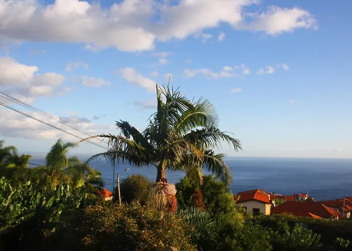 Lugar Dos Louros 2 Estreito Da Calheta